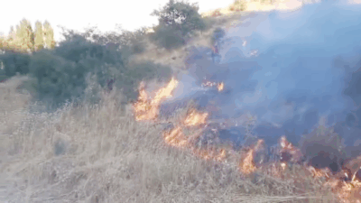 Yozgat Merkez Koç Emek Parkı mevkiinde çıkan ot yangını, ekiplerin