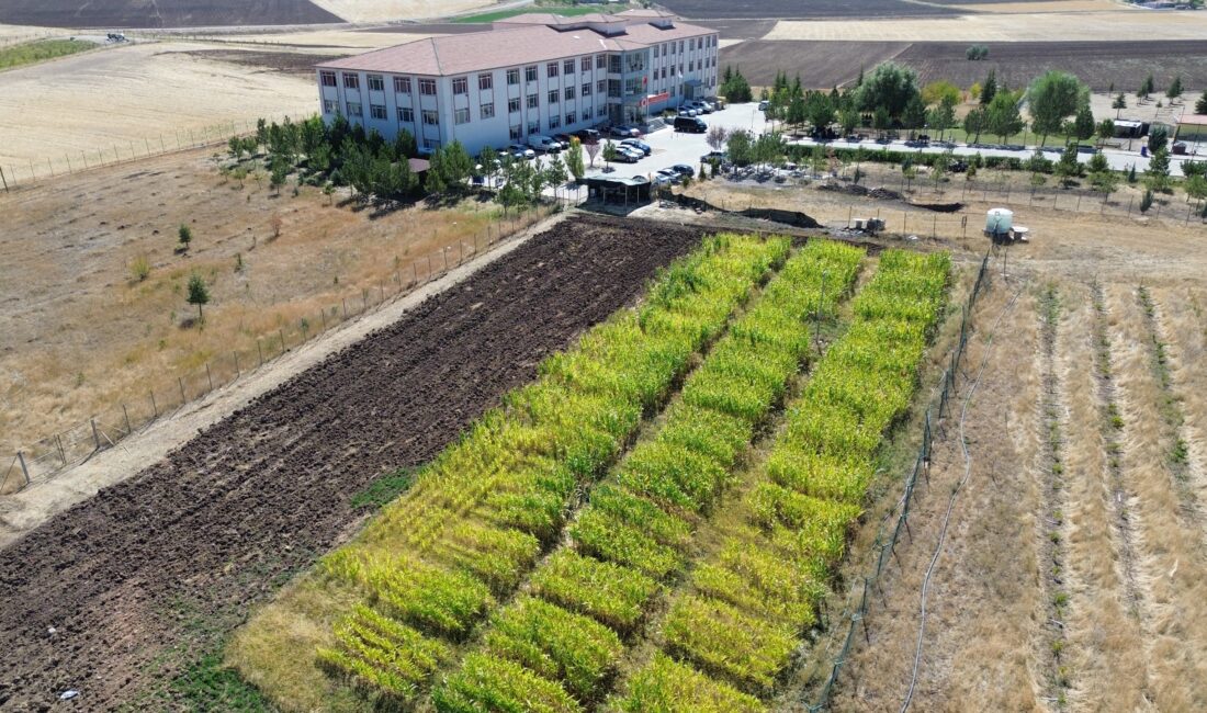 Yozgat Bozok Üniversitesi Boğazlıyan Meslek Yüksekokulu, eğitim-öğretim faaliyetlerinin yanı sıra