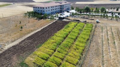 Yozgat Bozok Üniversitesi Boğazlıyan Meslek Yüksekokulu, eğitim-öğretim faaliyetlerinin yanı sıra