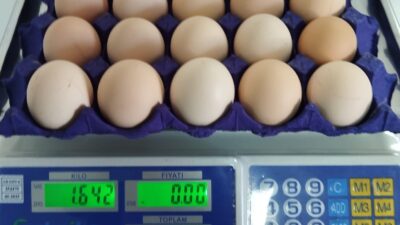 Eylül ayıyla birlikte temel gıda ürünlerinde artış yaşanırken, 30’lu yumurta