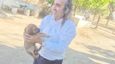 Gelecek Partisi Yozgat İl Başkanı Ömer Aydoğmuş, 4 Ekim Hayvanları