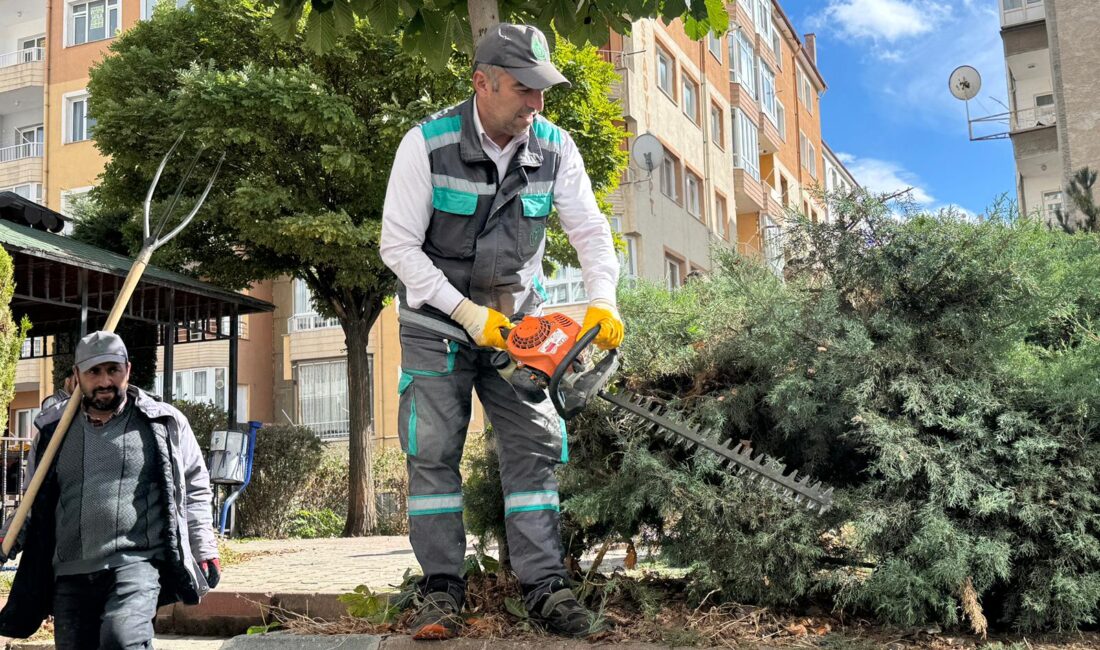 Yozgat Belediyesi Park ve Bahçeler Müdürlüğü, kent genelinde başlattığı güz