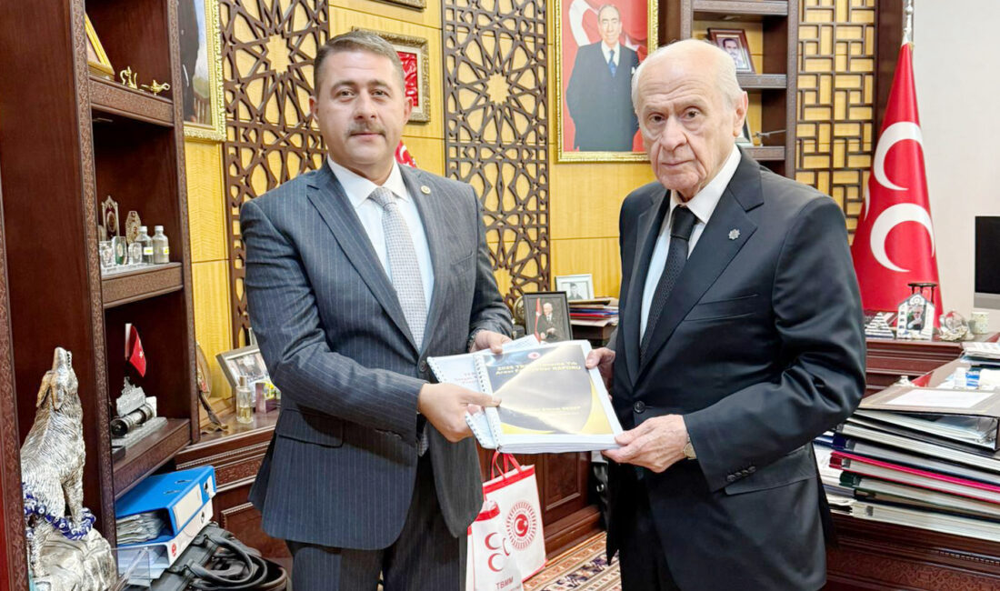 Milliyetçi Hareket Partisi (MHP) Yozgat Milletvekili İbrahim Ethem Sedef, Genel