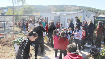 Yozgat Belediyesi, Evcil Köy yerleşkesinde yapımı tamamlanan Kedi Oteli’ni düzenlenen