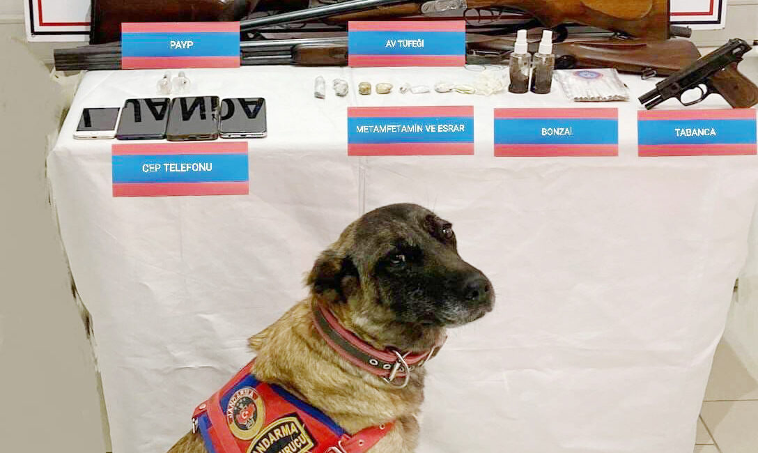 Yozgat İl Jandarma Komutanlığı ekiplerince Yozgat ve Kırşehir’de uyuşturucu madde