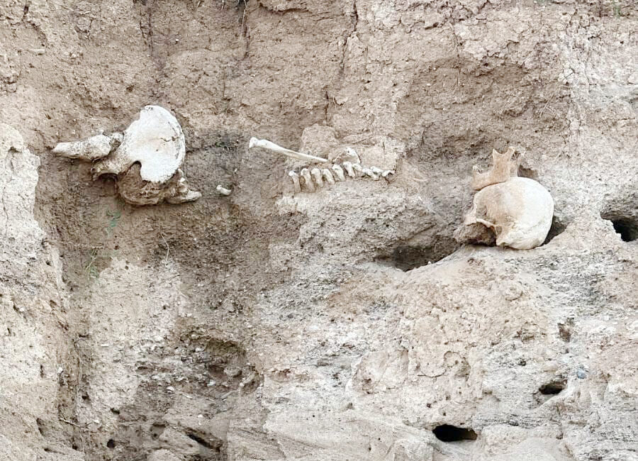 Yozgat İl Jandarma Komutanlığı, Boğazlıyan ilçesinde toprak altından çıkan insan