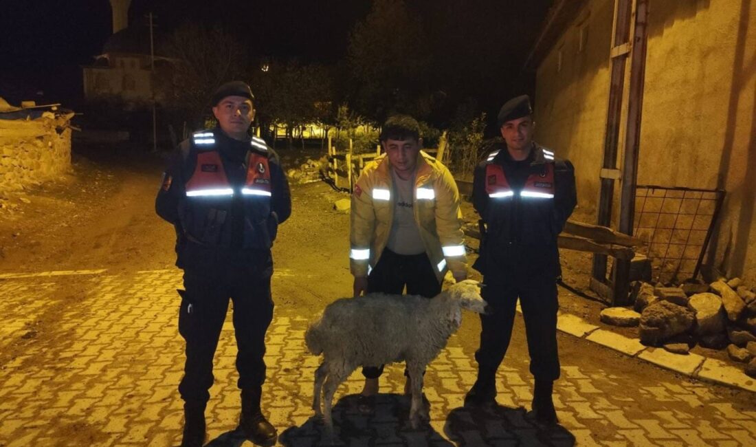 Yozgat’ın Sorgun ilçesinde İlçe Jandarma Komutanlığı ekipleri, devriye görevi sırasında