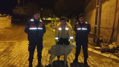 Yozgat’ın Sorgun ilçesinde İlçe Jandarma Komutanlığı ekipleri, devriye görevi sırasında