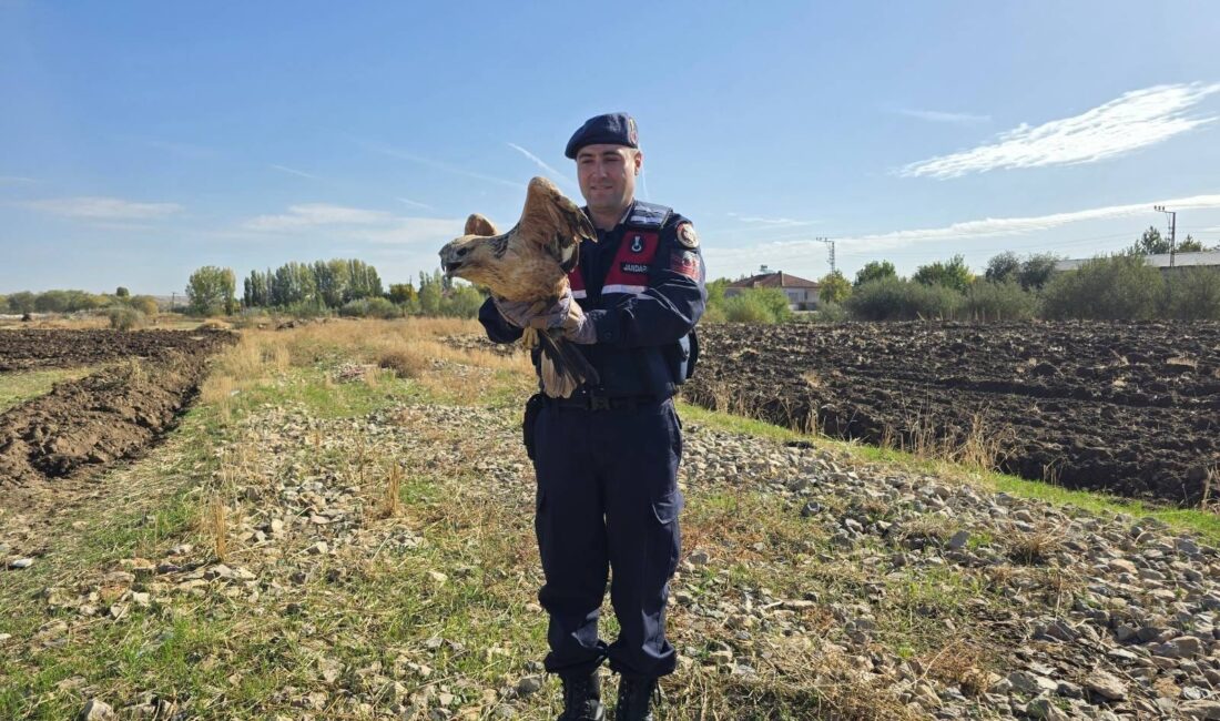Boğazlıyan ilçesinde, jandarma ekipleri devriye görevi sırasında yorgun ve bitkin