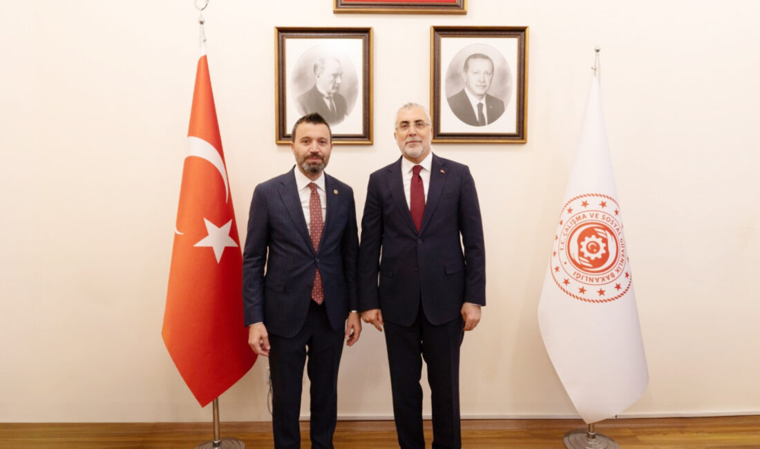 AK Parti Yozgat Milletvekili Süleyman Şahan, Çalışma ve Sosyal Güvenlik