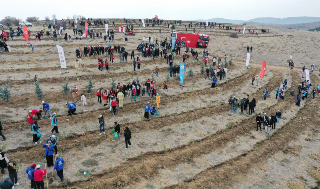11 Kasım Milli Ağaçlandırma Günü kapsamında, Türkiye genelinde olduğu gibi