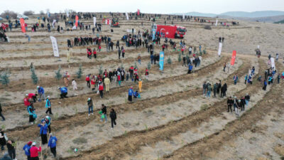 11 Kasım Milli Ağaçlandırma Günü kapsamında, Türkiye genelinde olduğu gibi