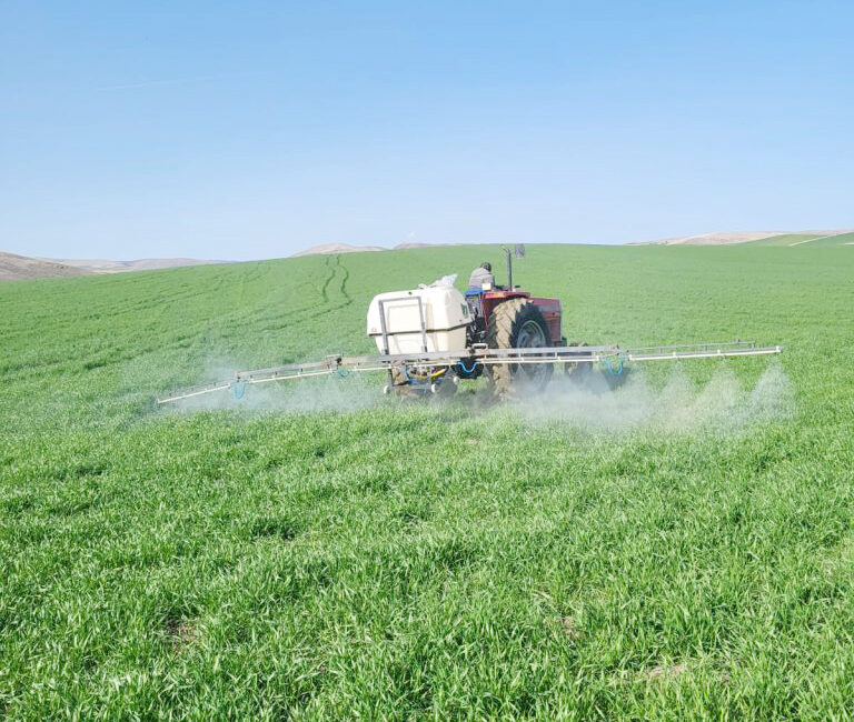 Dört kişilik Böcek ailesinin ilaçlama kaynaklı zehirlenme şüphesiyle hayatını kaybetmesi,