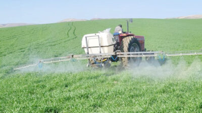 Dört kişilik Böcek ailesinin ilaçlama kaynaklı zehirlenme şüphesiyle hayatını kaybetmesi,