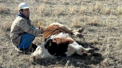 Şefaatli İlçe Jandarma Komutanlığı sorumluluk bölgesinde ikamet eden M.Ö. adlı