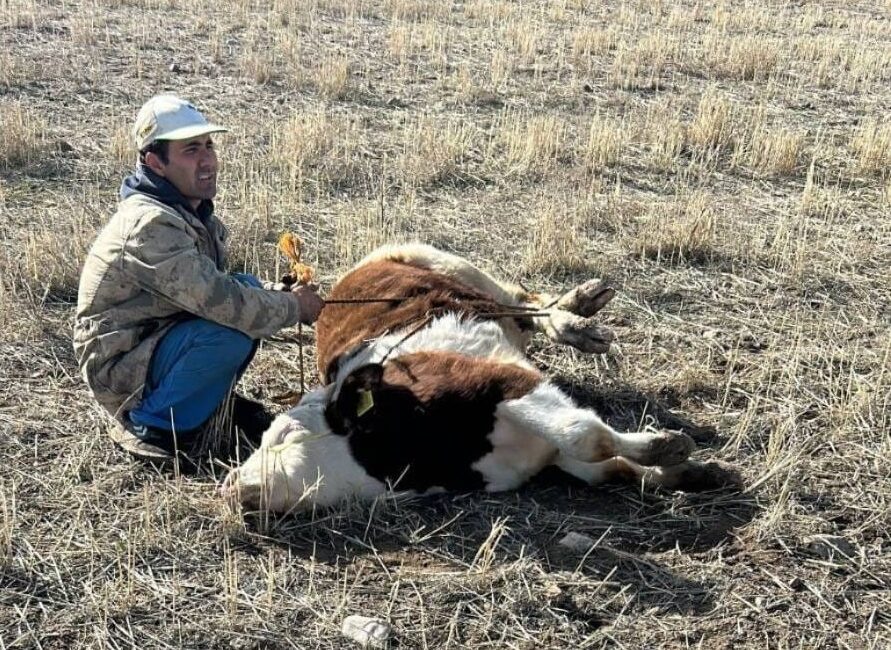 Şefaatli İlçe Jandarma Komutanlığı sorumluluk bölgesinde ikamet eden M.Ö. adlı