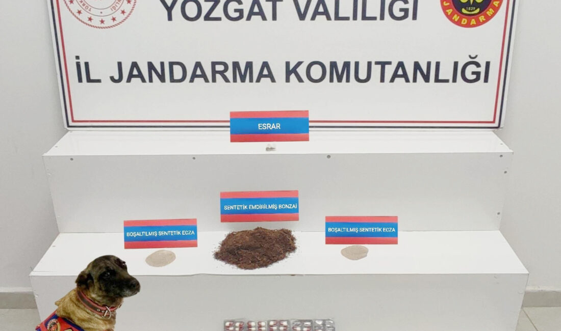 Yozgat İl Jandarma Komutanlığı, Merkez Jandarma Karakol Komutanlığı ve Boğazlıyan