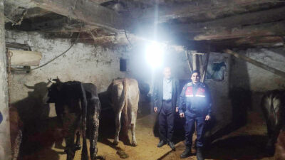 Yozgat Merkez İlçe Jandarma Komutanlığı ve Sorgun İlçe Jandarma Komutanlığı