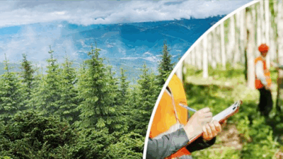 Tarım ve Orman Bakanı İbrahim Yumaklı, Orman Genel Müdürlüğü’nün (OGM)