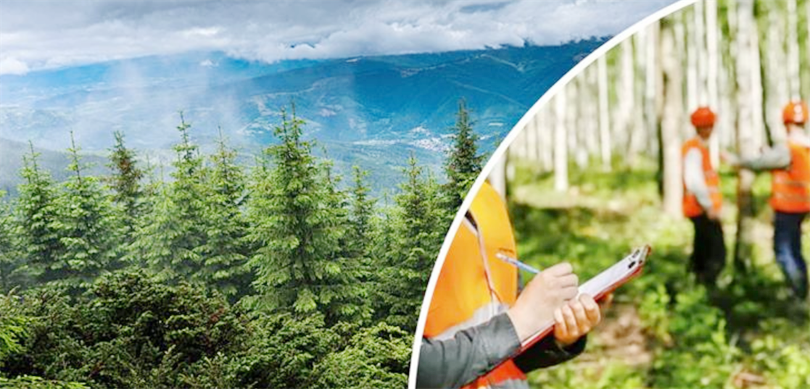 Tarım ve Orman Bakanı İbrahim Yumaklı, Orman Genel Müdürlüğü’nün (OGM)