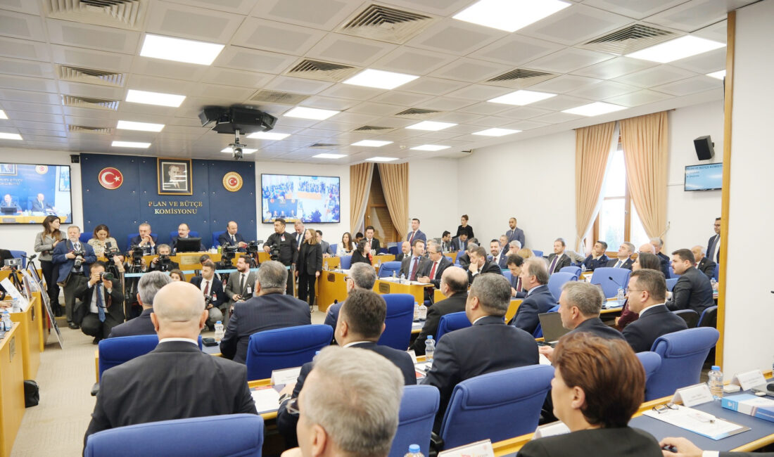 AK Parti Yozgat Milletvekili ve TBMM Plan ve Bütçe Komisyonu