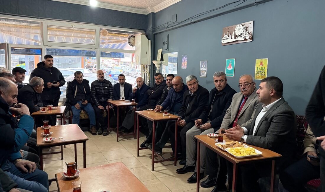 Milliyetçi Hareket Partisi (MHP) Yozgat Milletvekili İbrahim Ethem Sedef, Genel