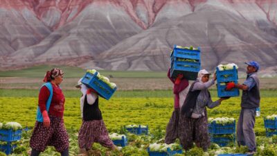 TEMA Vakfı, 17–30 Kasım Erozyonla Mücadele Haftası kapsamında bu yıl