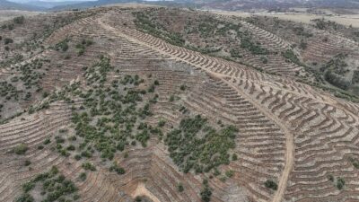 Yozgat Valiliği, Çekerek Nehri Havzası Rehabilitasyon Projesi (TULİP) kapsamında 2025