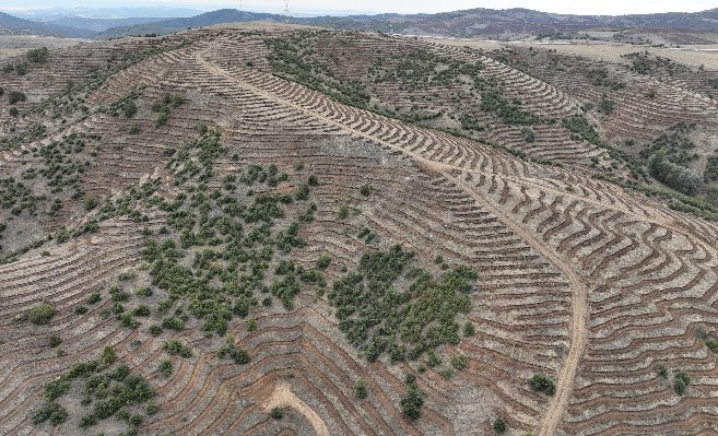 Yozgat Valiliği, Çekerek Nehri Havzası Rehabilitasyon Projesi (TULİP) kapsamında 2025