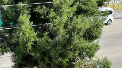 Yozgat Valiliği, il genelinde elektrik ve trafik güvenliğini sağlamak amacıyla