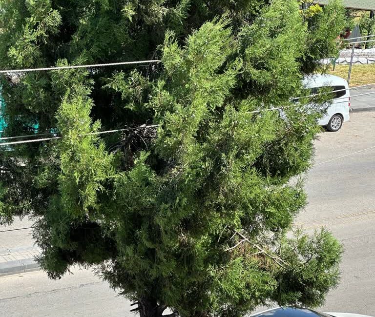 Yozgat Valiliği, il genelinde elektrik ve trafik güvenliğini sağlamak amacıyla