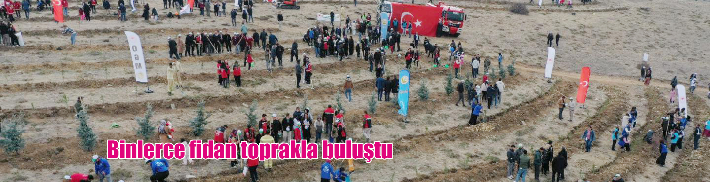 11 Kasım Milli Ağaçlandırma Günü