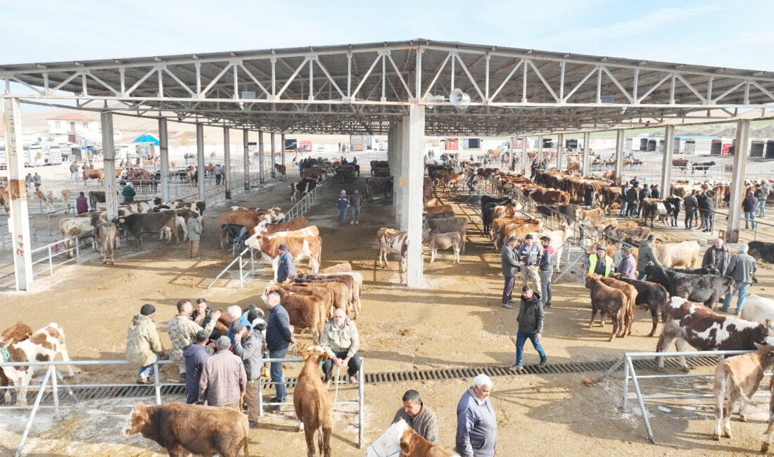 Sorgun’da şap hastalığına karşı alınan tedbirler kapsamında bir süredir geçici