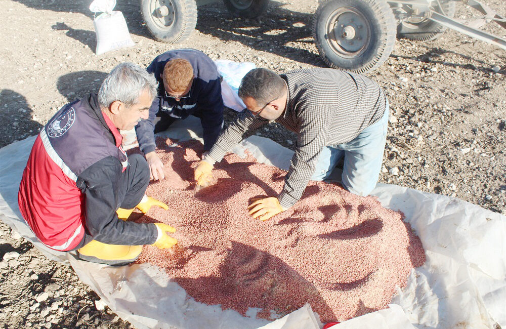 Yozgat Valiliği koordinesinde, İl Tarım ve Orman Müdürlüğü tarafından merkeze