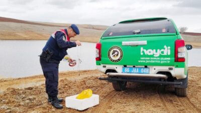 İçişleri Bakanlığı’nın 2020 yılında hayvanlara ve doğaya yönelik suçlara hızlı