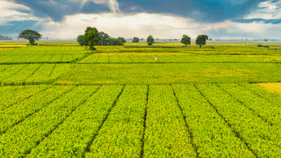 Tarım ve Orman Bakanı İbrahim Yumaklı, IPARD-III Programı kapsamında yürütülen