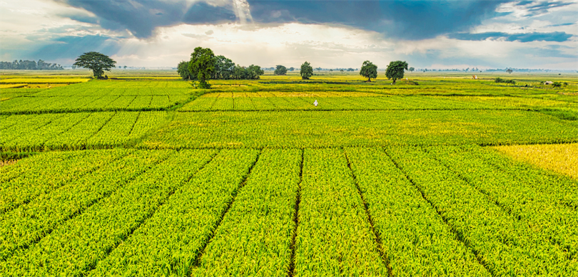 Tarım ve Orman Bakanı İbrahim Yumaklı, IPARD-III Programı kapsamında yürütülen