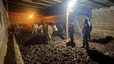 Yenifakılı İlçe Jandarma Komutanlığı sorumluluk sahasında ikamet eden F.K. isimli