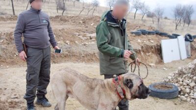 Yozgat Veteriner Hekimleri Odası Başkanı Faruk Anteplioğlu, kedi, köpek ve