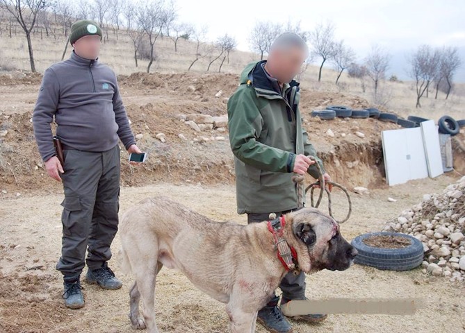 Yozgat Veteriner Hekimleri Odası Başkanı Faruk Anteplioğlu, kedi, köpek ve