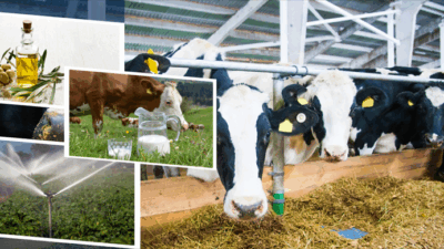 Tarım ve Orman Bakanı İbrahim Yumaklı, 2 milyar 5 milyon