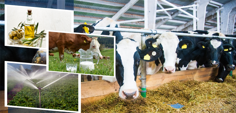 Tarım ve Orman Bakanı İbrahim Yumaklı, 2 milyar 5 milyon