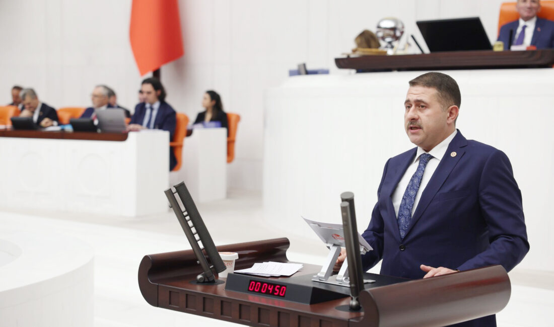 Milliyetçi Hareket Partisi (MHP) Yozgat Milletvekili İbrahim Ethem Sedef, Türkiye