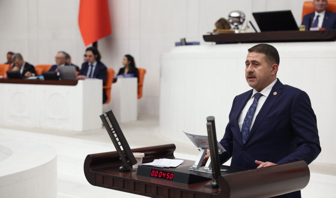 Milliyetçi Hareket Partisi (MHP) Yozgat Milletvekili İbrahim Ethem Sedef, Türkiye