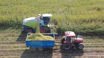 Tarım İşletmeleri Genel Müdürlüğü’ne (TİGEM) bağlı işletme müdürlüklerinde istihdam edilmek