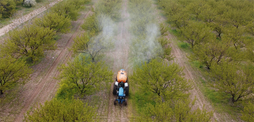 Tarım ve Orman Bakanı İbrahim Yumaklı, tarladan sofraya gıda güvenliğini