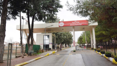 Aile ve Sosyal Hizmetler Bakanlığı, özel bireyler, yaşlılar, kadınlar ve