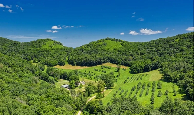 2B arazileriyle ilgili beklenen düzenleme Meclis’ten geçti. Orman vasfını yitirmiş