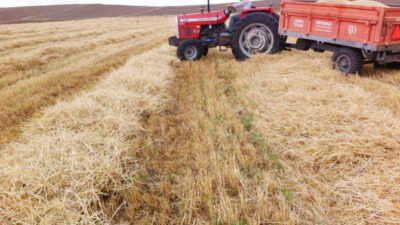 Tarım ve Orman Bakanlığı, kırsal kalkınma destekleri ile tarım sigortalarında