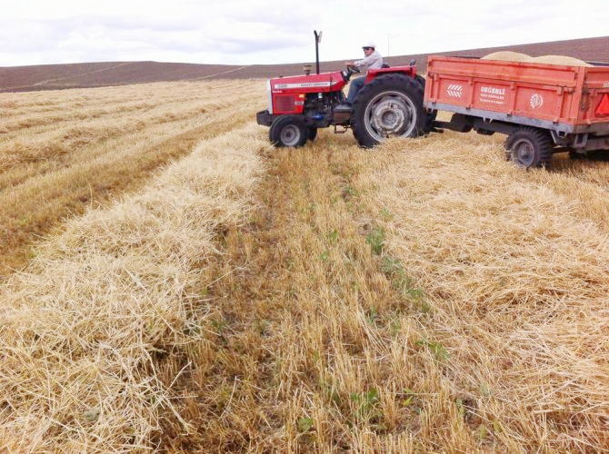 Tarım ve Orman Bakanlığı, kırsal kalkınma destekleri ile tarım sigortalarında